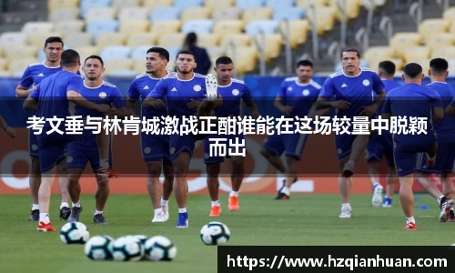 6t体育官方网站
